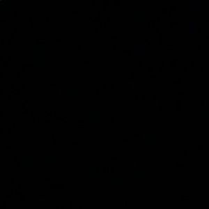 Meet your Posher, Rashonda